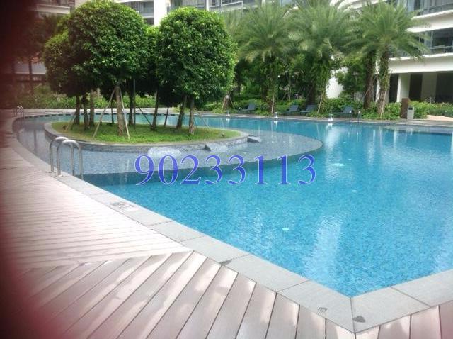 The Palette (D18), Condominium #125921432